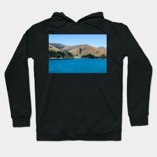 The Coastline of South Island, New Zealand Hoodie